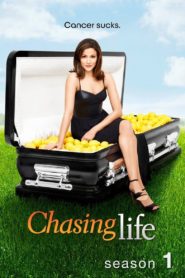 Chasing Life: Season 1