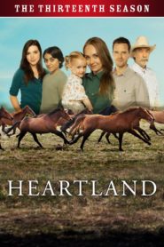 Heartland – Paradies für Pferde: Season 13