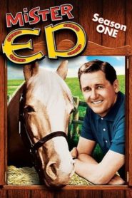 Mr. Ed: Season 1