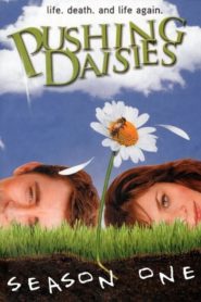 Pushing Daisies: Season 1