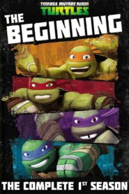 Teenage Mutant Ninja Turtles: Season 1