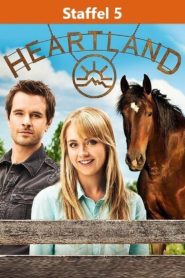 Heartland – Paradies für Pferde: Season 5