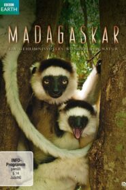 Madagaskar – Ein geheimnisvolles Wunder der Natur