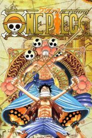 One Piece: Season 9