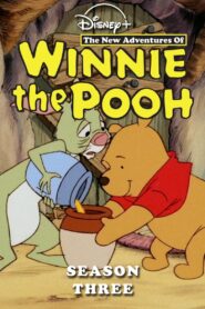 Neue Abenteuer mit Winnie Puuh: Season 3