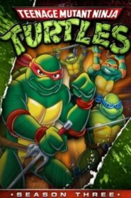 Teenage Mutant Hero Turtles: Season 3