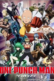 One Punch Man: Season 1