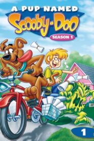 Spürnase Scooby-Doo: Season 1