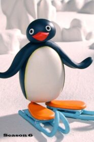 Pingu: Season 6