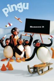 Pingu: Season 2
