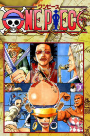 One Piece: Season 5