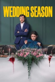 Wedding Season: Season 1