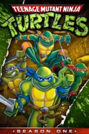 Teenage Mutant Hero Turtles: Season 1