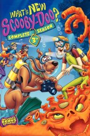 What’s New Scooby-Doo: Season 3