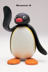 Pingu: Season 3