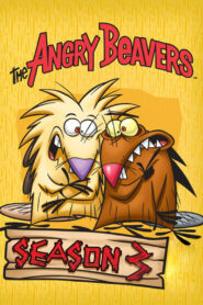 Die Biber Brüder: Season 3
