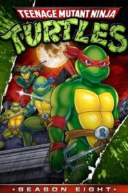 Teenage Mutant Hero Turtles: Season 8