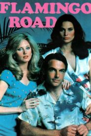 Flamingo Road: Season 2