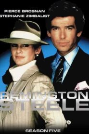 Remington Steele: Season 5