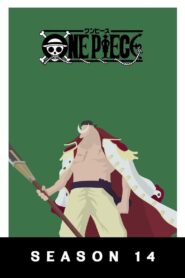 One Piece: Season 14