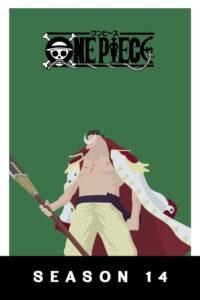 One Piece: Season 14
