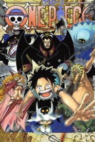 One Piece: Season 13