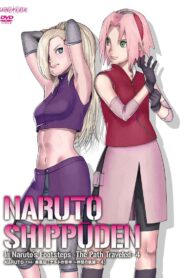 Naruto Shippuden: Season 19