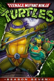 Teenage Mutant Hero Turtles: Season 7