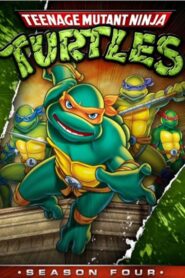 Teenage Mutant Hero Turtles: Season 4