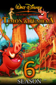 Abenteuer mit Timon und Pumbaa: Season 6