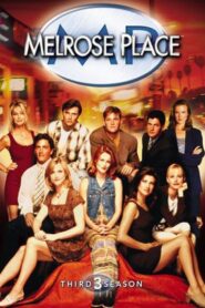 Melrose Place: Season 3