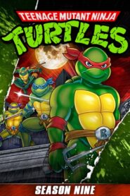 Teenage Mutant Hero Turtles: Season 9