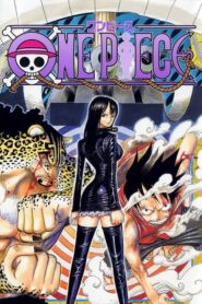 One Piece: Season 11