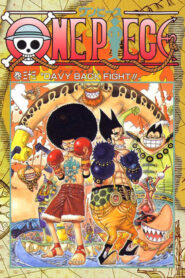 One Piece: Season 10