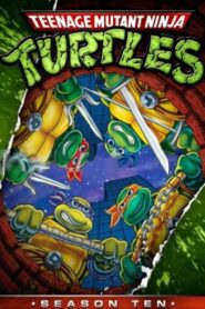 Teenage Mutant Hero Turtles: Season 10