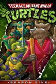 Teenage Mutant Hero Turtles: Season 5