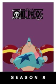 One Piece: Season 8