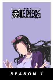 One Piece: Season 7