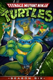 Teenage Mutant Hero Turtles: Season 6
