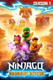 LEGO Ninjago: Aufstieg der Drachen: Season 1