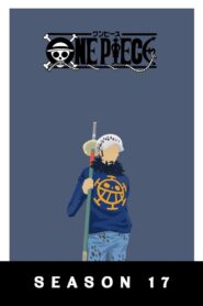 One Piece: Season 17