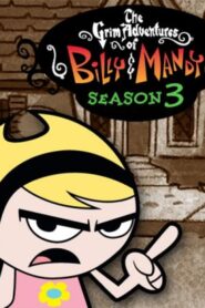 Die gruseligen Abenteuer von Billy und Mandy: Season 3