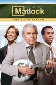 Matlock: Season 6