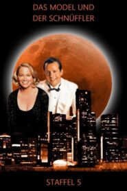 Das Model und der Schnüffler: Season 5
