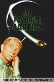 Mein Onkel vom Mars: Season 3