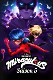 Miraculous – Geschichten von Ladybug und Cat Noir: Season 5