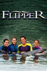 Flippers neue Abenteuer