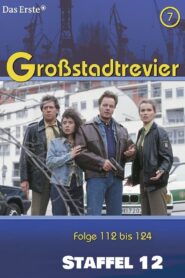 Großstadtrevier: Season 12