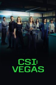 CSI: Vegas: Season 2