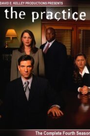 Practice – Die Anwälte: Season 4